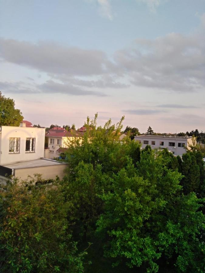 Bed and Breakfast La Madriguera Raszyn Exteriér fotografie